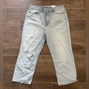 NWT Elizabeth & James Jeans